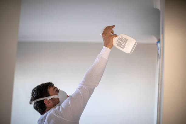 Best Basement Mold Remediation in Norton, OH